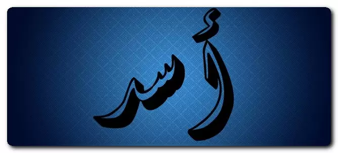 معنى اسم أسد وصفات حامل الاسم وحكم تسميته فى الاسلام