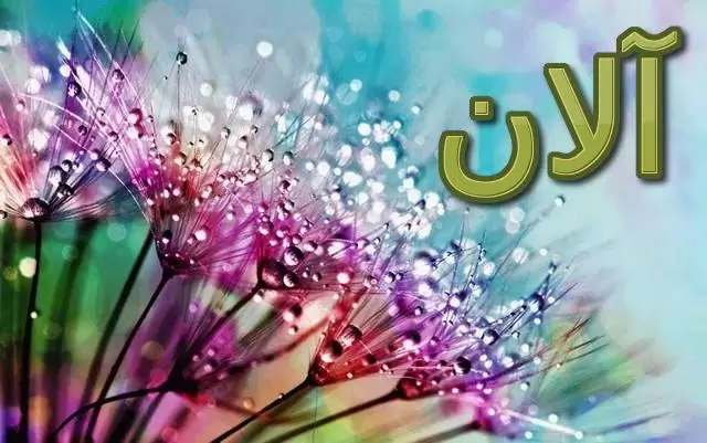 معنى اسم آلان 2025 هل يجوز تسمية آلان في الإسلام