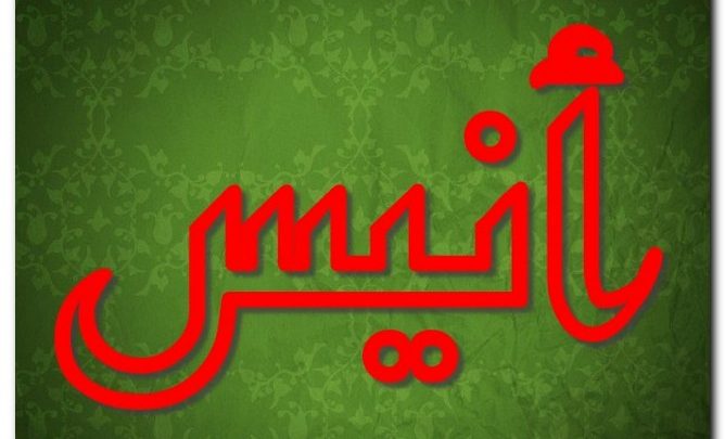 معنى اسم أنيس وصفات حامل الاسم وحكم تسميته فى الاسلام