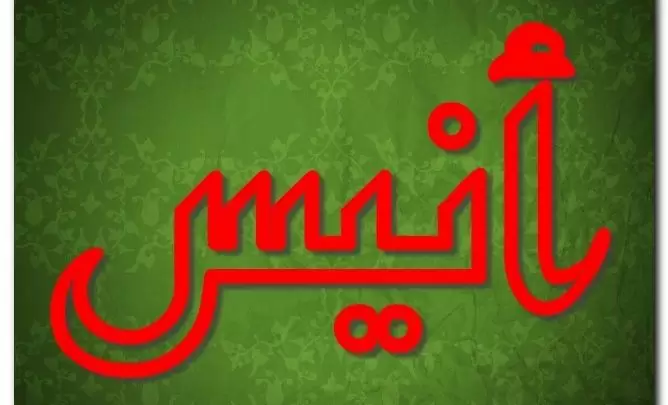 معنى اسم أنيس وصفات حامل الاسم وحكم تسميته فى الاسلام