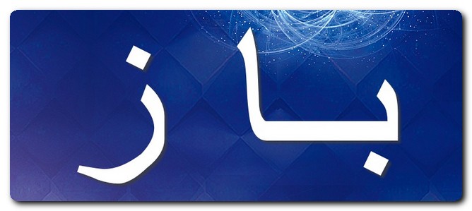 معنى اسم باز وصفات الاسم (نوع من الصقور) وحكمه الشرعي