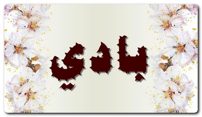 معنى اسم بادي وصفات حامل الاسم (صاحب الرأي الصائب)