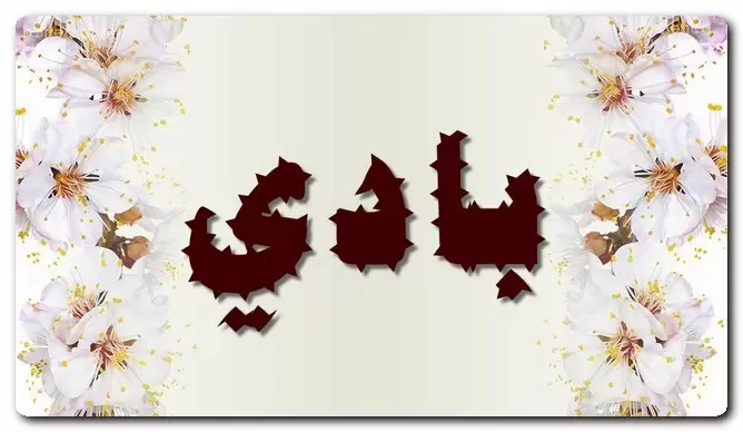 معنى اسم بادي وصفات حامل الاسم (صاحب الرأي الصائب)