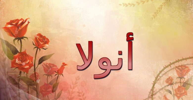 معنى اسم أنولا وحكم الإسلام فيه (المنعزل او الوحيد)