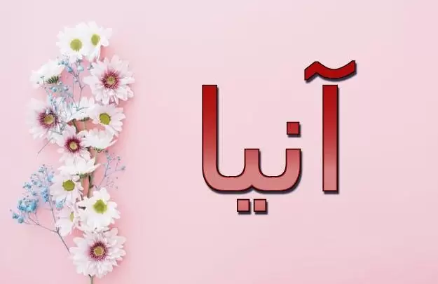 معنى اسم آنيا وصفاتها الشخصية (النعمة والفضل)