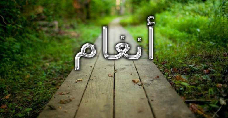 معنى اسم أنغام وصفات من تحمله (حلاوة الصوت)