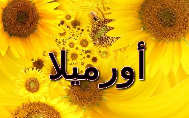 معنى اسم أورميلا بالتفصيل (موجات من العاطفة)