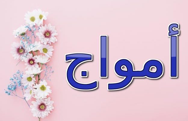 معنى اسم أمواج بالتفصيل (ما ارتفع من الماء) وحكمه الشرعي