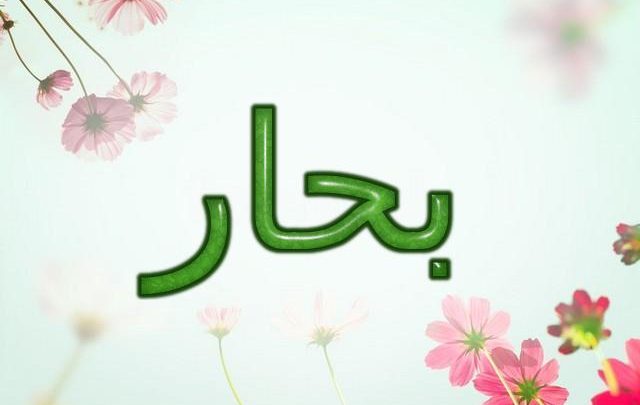 معنى اسم بحار وصفات شخصيتها (من يقوم بالإبحار)