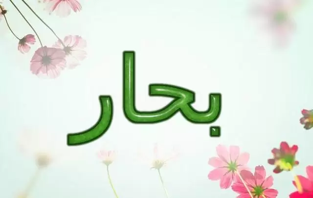 معنى اسم بحار وصفات شخصيتها (من يقوم بالإبحار)