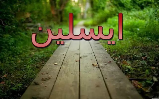 معنى اسم ايسلين وحكم الإسلام فيه (الحلم)