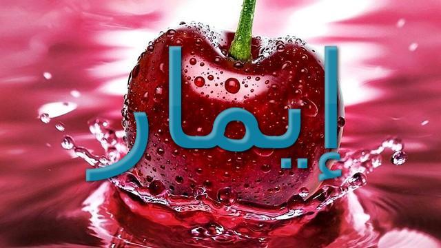 معنى اسم إيمار وصفاته (سلاح المحراث)