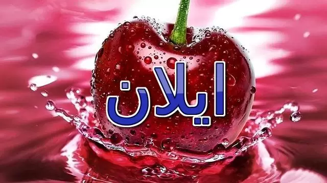 معنى اسم ايلان وصفاته الشخصية (شجرة البلوط)