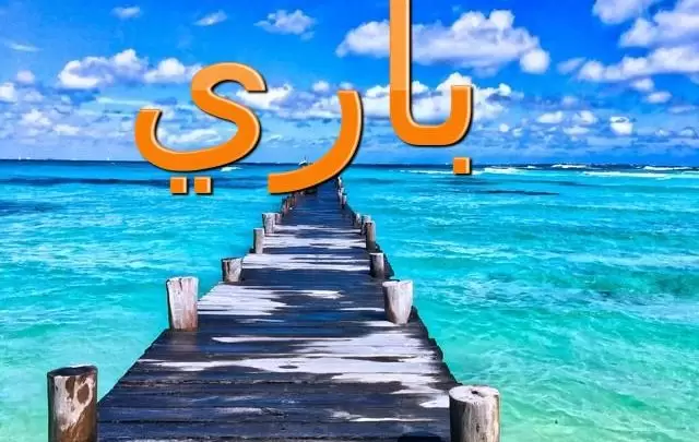 معنى اسم باري وأصله (الجنبية)