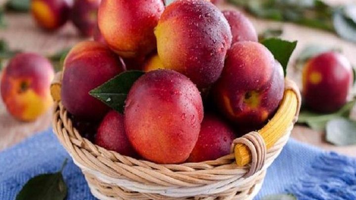 عدد السعرات الحرارية في الخوخ