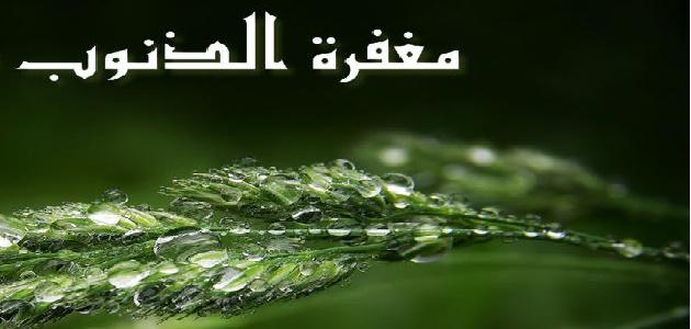 كيف نستغفر الله من الذنوب
