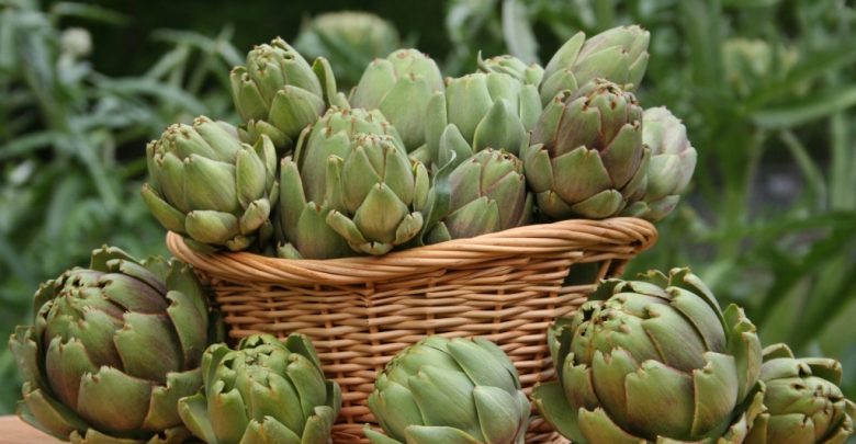 عدد السعرات الحرارية في الخرشوف