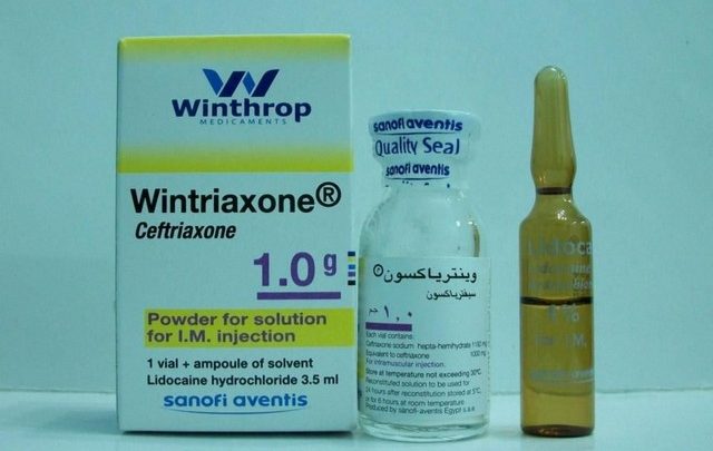 نشرة حقن وينترياكسون لعلاج التهاب العظام WINTRIAXONE