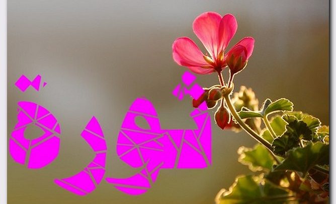 معنى اسم ثورة وصفات حامل الاسم (الانتفاض)