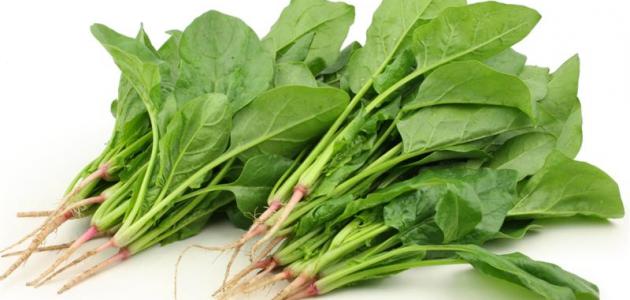 عدد السعرات الحرارية في السبانخ