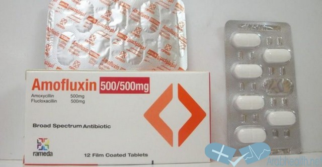 نشرة أموفلوكسين مضاد حيوي واسع المجال AMOFLUXIN