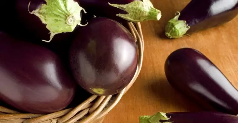 تفسير رؤية الباذنجان في الحلم أو المنام