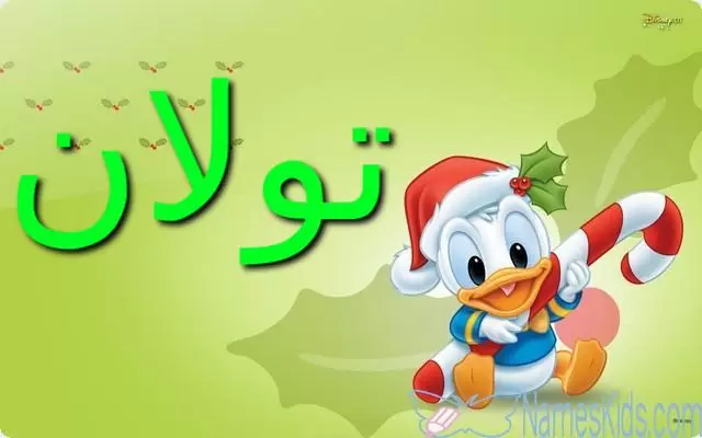 معنى اسم تولان وصفاتها (السحر الشديد)