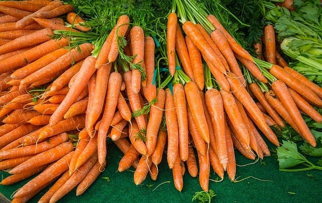 تفسير رؤية الجزر في الحلم أو المنام
