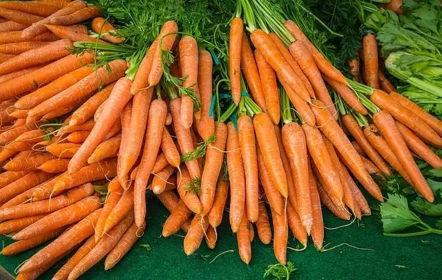 تفسير رؤية الجزر في الحلم أو المنام