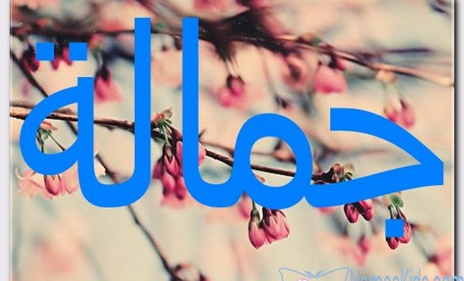 معنى اسم جمالة وصفات حامل الاسم (الدهن الذائب)