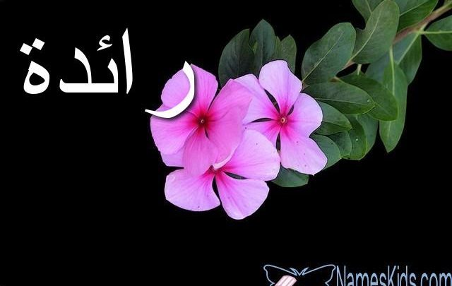 معنى اسم رائدة بالتفصيل Raeda