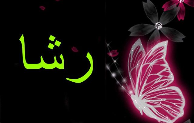 معنى اسم رشا بالتفصيل Rasha