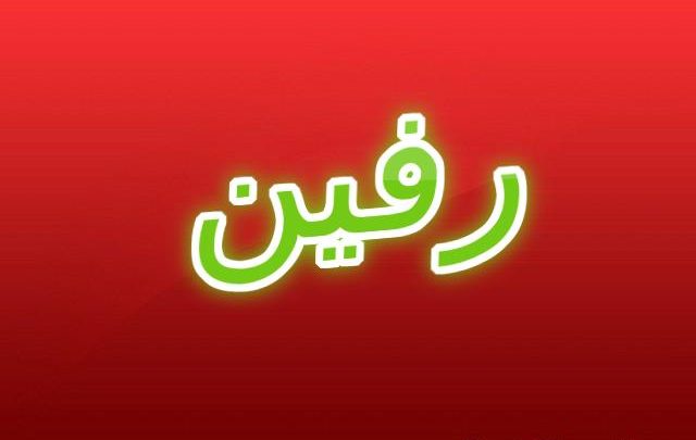 معنى اسم رفين وأصله Ravyn