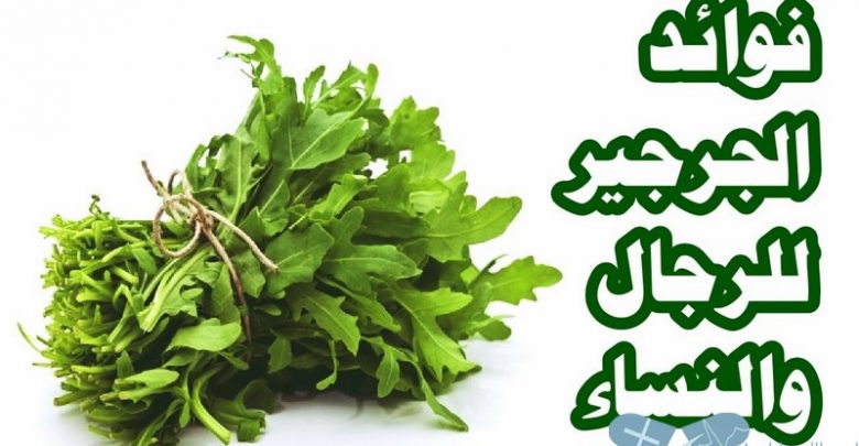جميع فوائد اكل الجرجير للرجال والنساء