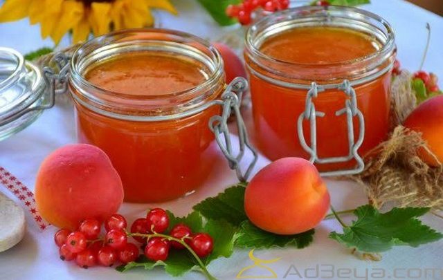 تفسير حلم المربى في المنام لابن سيرين والنابلسي