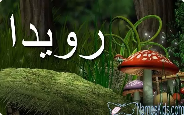 معنى اسم رويدا بالتفصيل Rowayda