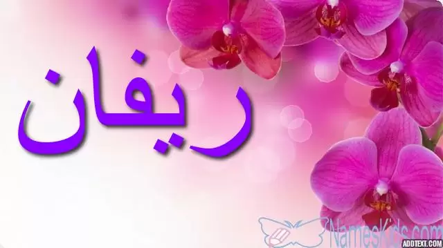 معنى اسم ريفان وأصله Rifan