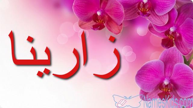 معنى اسم زارينا وأصله Zarina