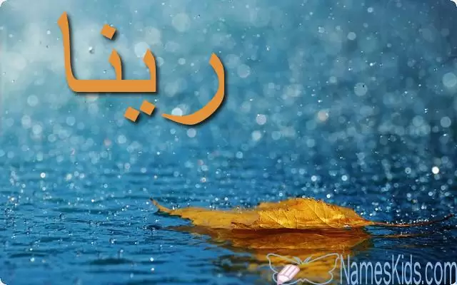 معنى اسم رينا بالتفصيل Reena