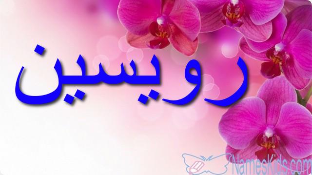 معنى اسم رويسين وأصله Roisin