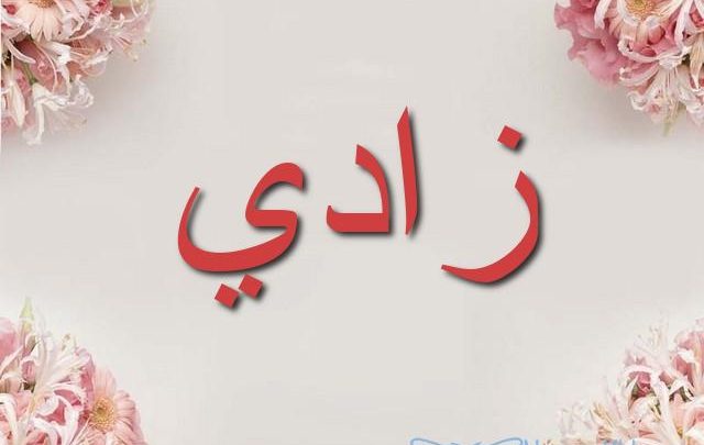 معنى اسم زادي بالتفصيل Zady