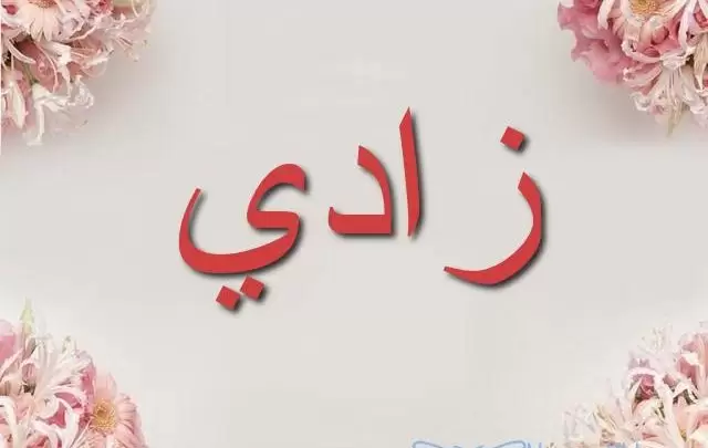 معنى اسم زادي بالتفصيل Zady