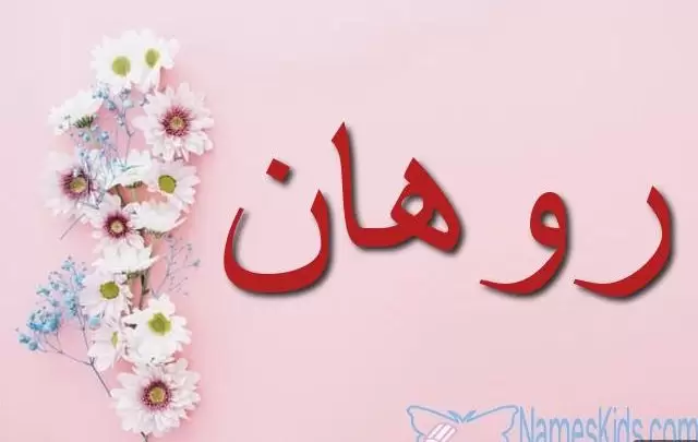 معنى اسم روهان بالتفصيل Rohan