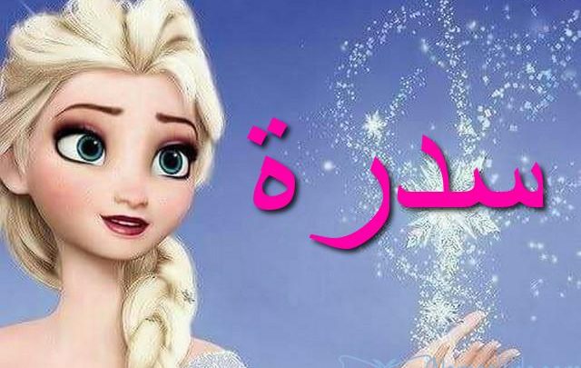 معنى اسم سدرة وصفات شخصيتها Sedra