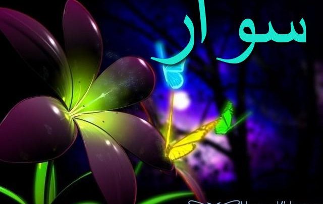 معنى اسم سوار وأصله Sewar