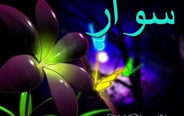 معنى اسم سوار وأصله Sewar