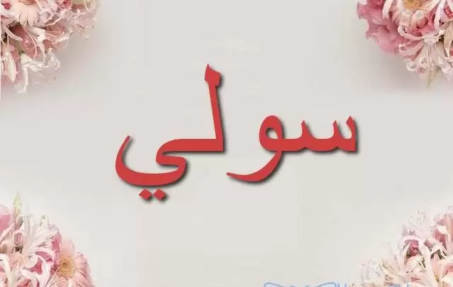 معنى اسم سولي بالتفصيل Soly