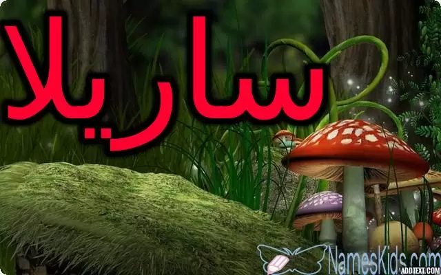 معنى اسم ساريلا وأصله Sarila