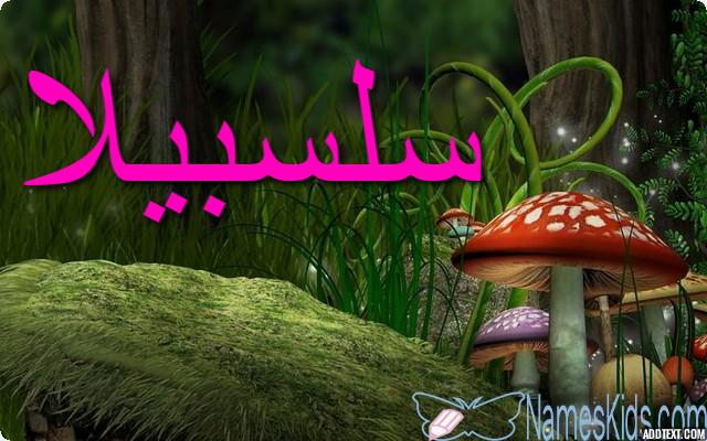 معنى اسم سلسبيلا بالتفصيل Salsabila