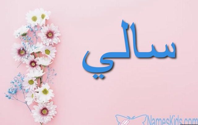 معنى اسم سالي بالتفصيل Saly